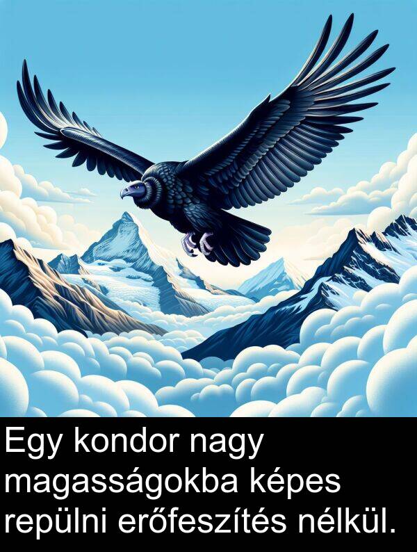 repülni: Egy kondor nagy magasságokba képes repülni erőfeszítés nélkül.