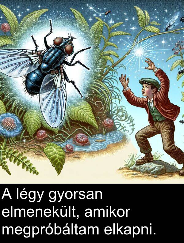 megpróbáltam: A légy gyorsan elmenekült, amikor megpróbáltam elkapni.