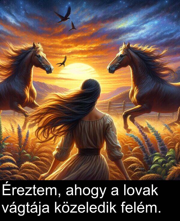 vágtája: Éreztem, ahogy a lovak vágtája közeledik felém.