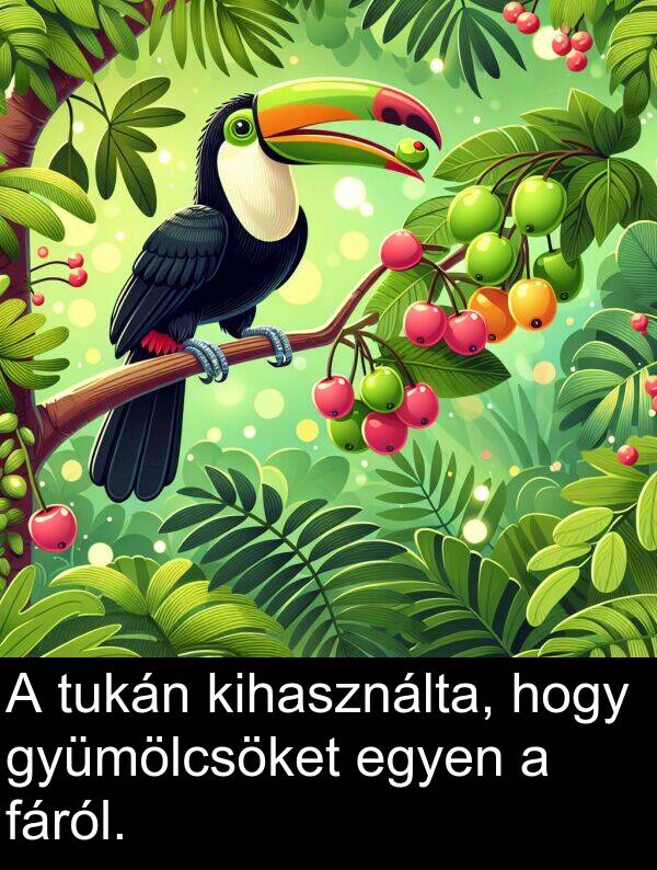tukán: A tukán kihasználta, hogy gyümölcsöket egyen a fáról.