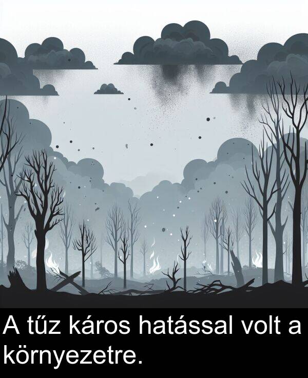 tűz: A tűz káros hatással volt a környezetre.