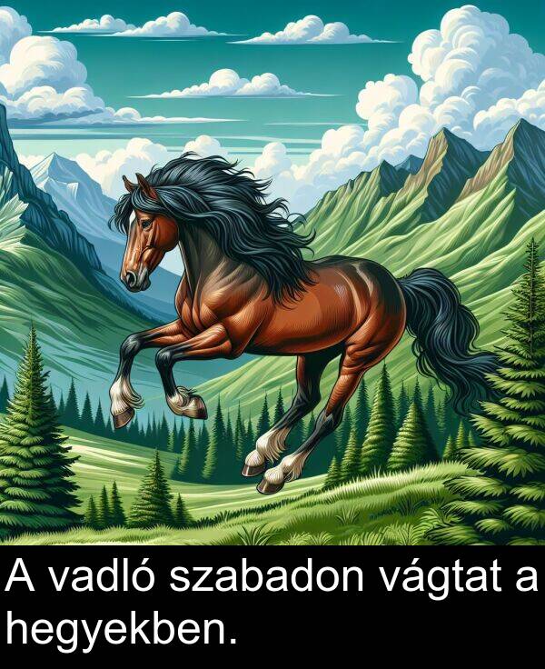 vadló: A vadló szabadon vágtat a hegyekben.
