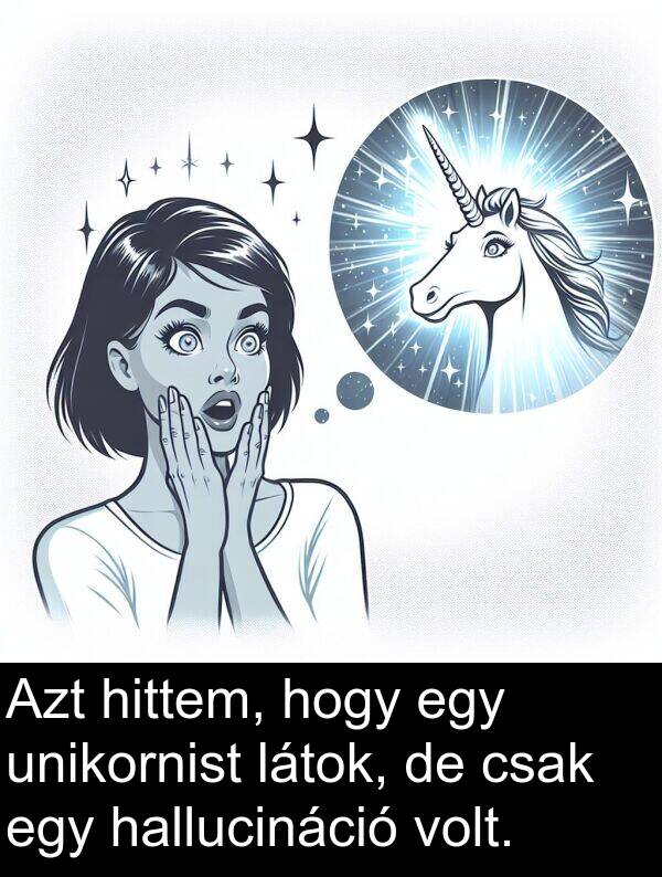 hallucináció: Azt hittem, hogy egy unikornist látok, de csak egy hallucináció volt.