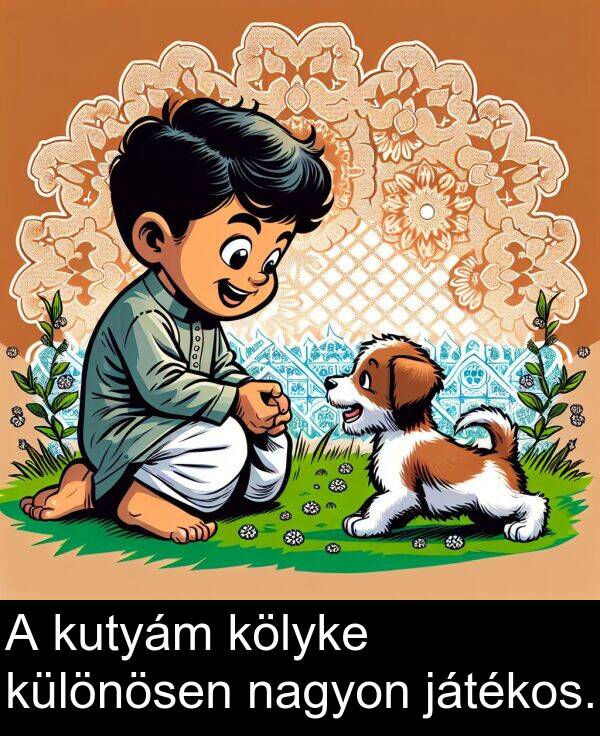 nagyon: A kutyám kölyke különösen nagyon játékos.