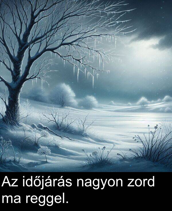 nagyon: Az időjárás nagyon zord ma reggel.