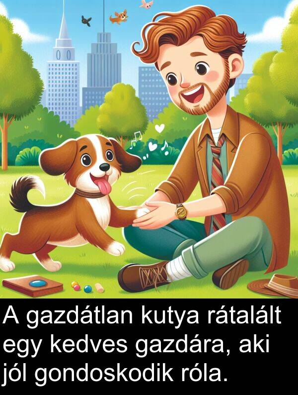 rátalált: A gazdátlan kutya rátalált egy kedves gazdára, aki jól gondoskodik róla.