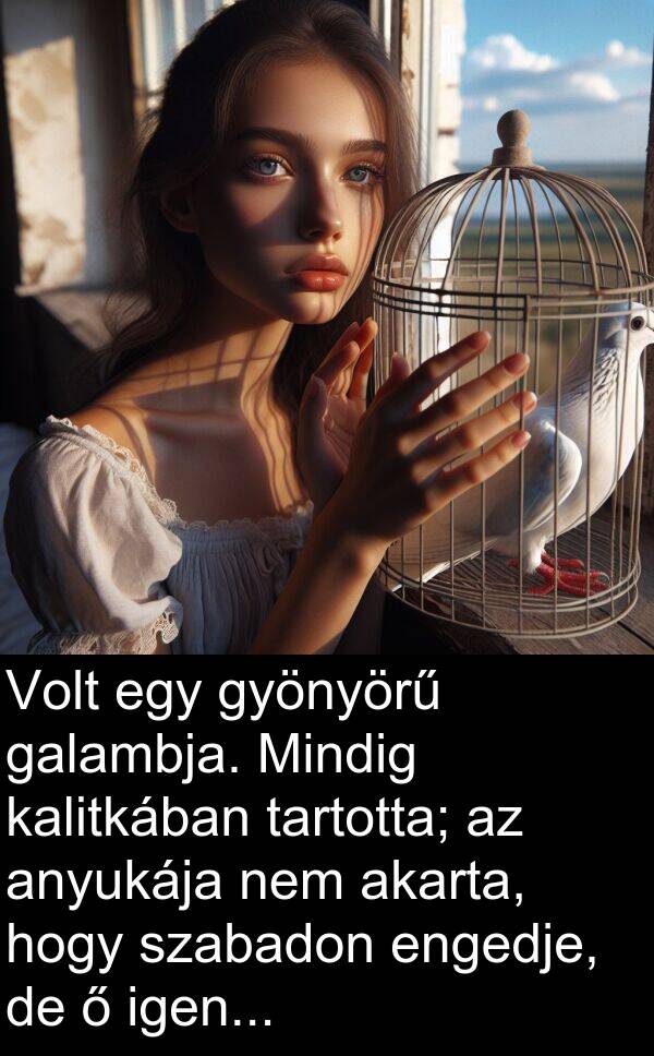 tartotta: Volt egy gyönyörű galambja. Mindig kalitkában tartotta; az anyukája nem akarta, hogy szabadon engedje, de ő igen...