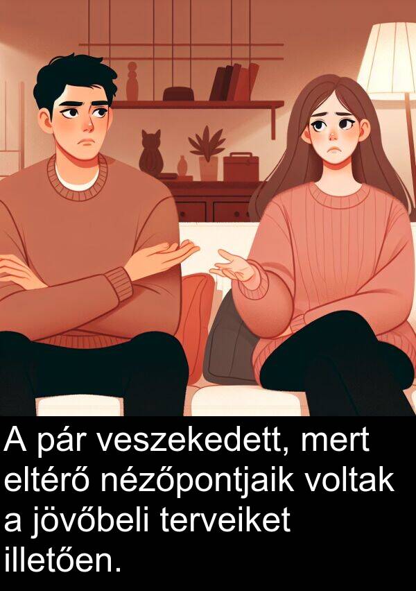 pár: A pár veszekedett, mert eltérő nézőpontjaik voltak a jövőbeli terveiket illetően.