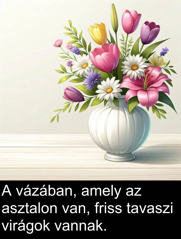 vázában: A vázában, amely az asztalon van, friss tavaszi virágok vannak.