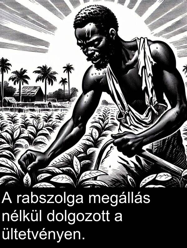 rabszolga: A rabszolga megállás nélkül dolgozott a ültetvényen.