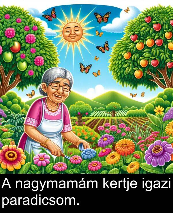 paradicsom: A nagymamám kertje igazi paradicsom.