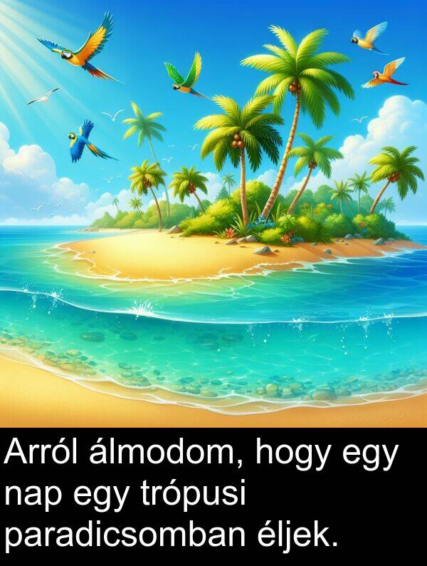 paradicsomban: Arról álmodom, hogy egy nap egy trópusi paradicsomban éljek.