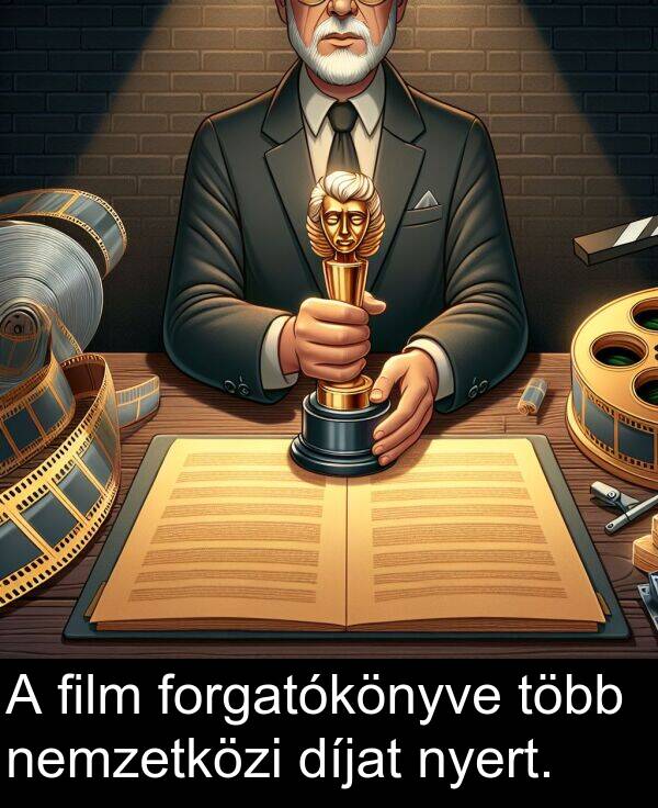 díjat: A film forgatókönyve több nemzetközi díjat nyert.