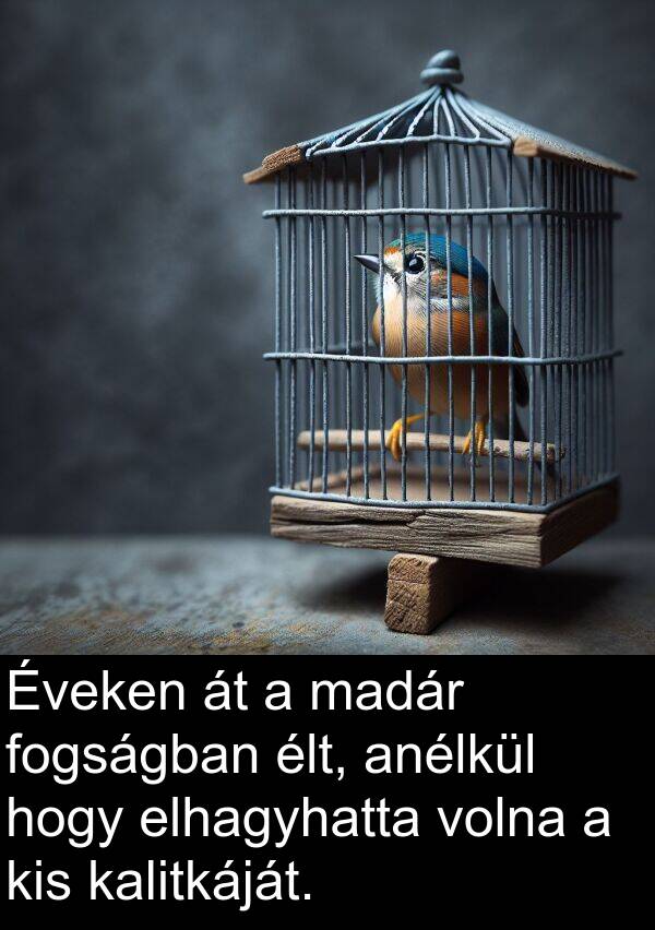 madár: Éveken át a madár fogságban élt, anélkül hogy elhagyhatta volna a kis kalitkáját.