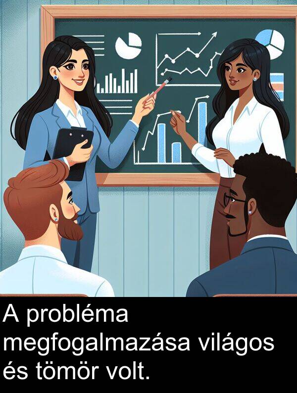 megfogalmazása: A probléma megfogalmazása világos és tömör volt.