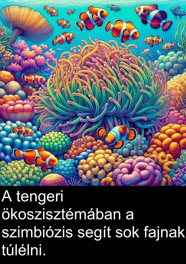 ökoszisztémában: A tengeri ökoszisztémában a szimbiózis segít sok fajnak túlélni.