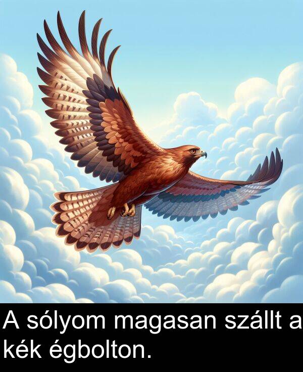 sólyom: A sólyom magasan szállt a kék égbolton.