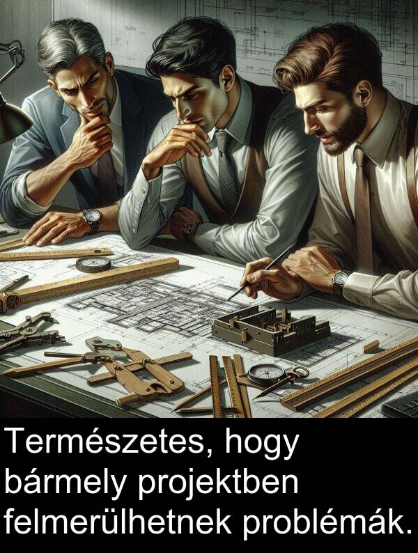 problémák: Természetes, hogy bármely projektben felmerülhetnek problémák.
