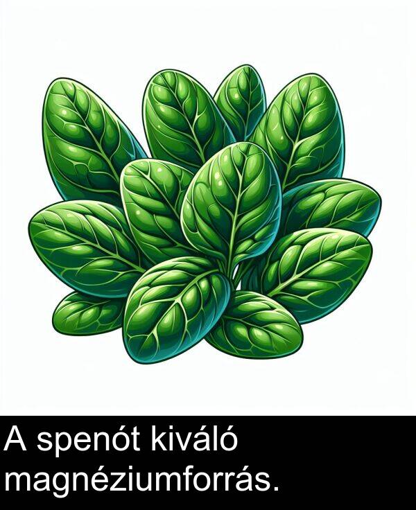 magnéziumforrás: A spenót kiváló magnéziumforrás.