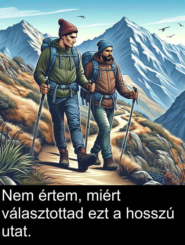 miért: Nem értem, miért választottad ezt a hosszú utat.