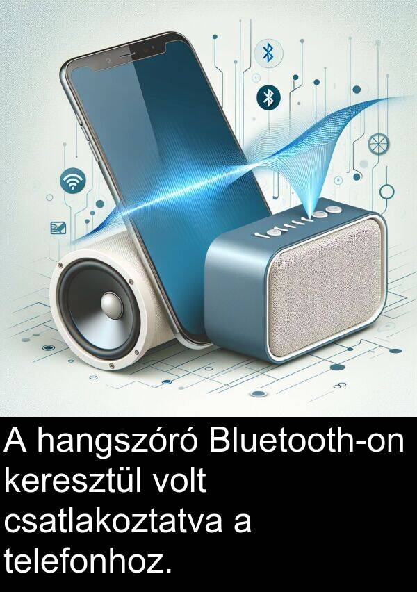 hangszóró: A hangszóró Bluetooth-on keresztül volt csatlakoztatva a telefonhoz.