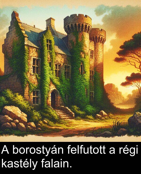 régi: A borostyán felfutott a régi kastély falain.