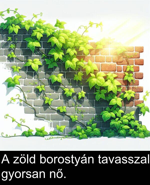 zöld: A zöld borostyán tavasszal gyorsan nő.