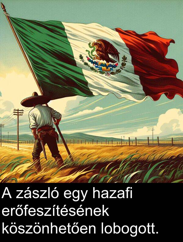 zászló: A zászló egy hazafi erőfeszítésének köszönhetően lobogott.