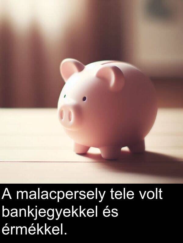 bankjegyekkel: A malacpersely tele volt bankjegyekkel és érmékkel.