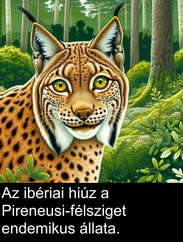 állata: Az ibériai hiúz a Pireneusi-félsziget endemikus állata.