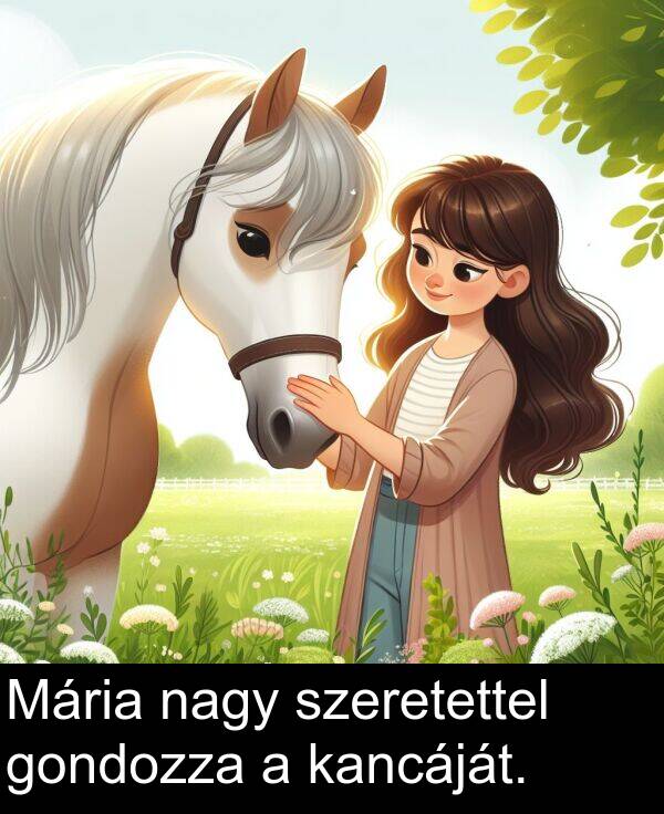 nagy: Mária nagy szeretettel gondozza a kancáját.