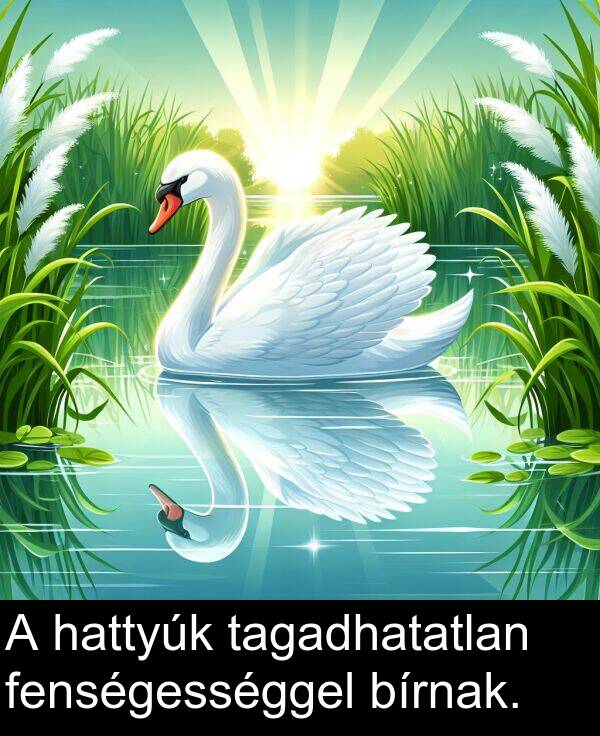 hattyúk: A hattyúk tagadhatatlan fenségességgel bírnak.