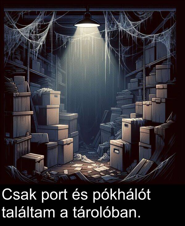 találtam: Csak port és pókhálót találtam a tárolóban.
