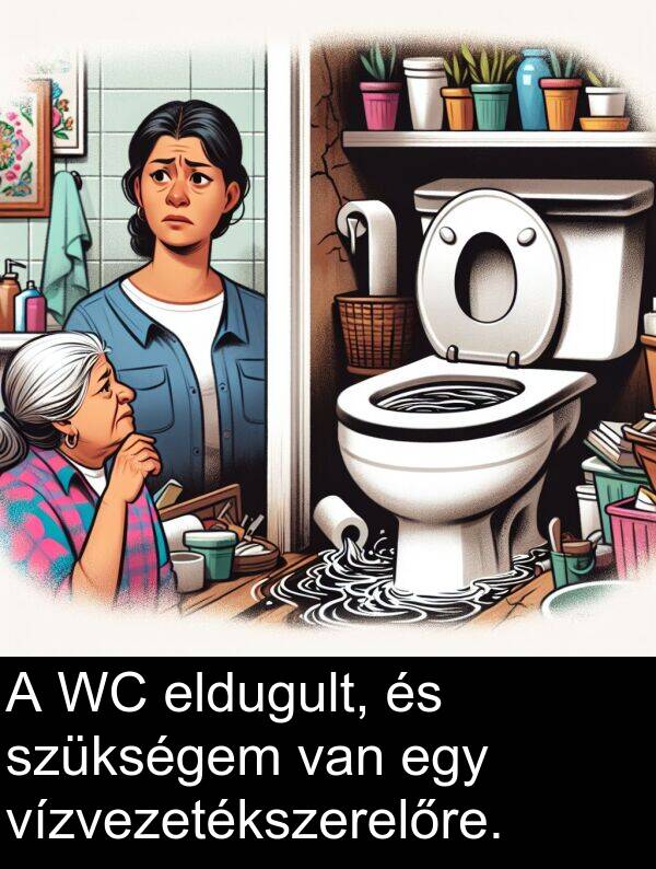 szükségem: A WC eldugult, és szükségem van egy vízvezetékszerelőre.