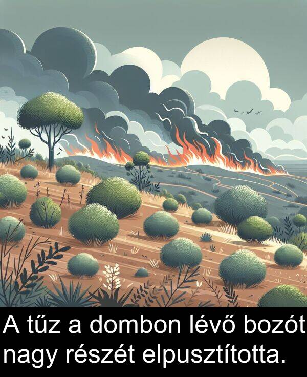 nagy: A tűz a dombon lévő bozót nagy részét elpusztította.