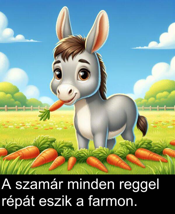 minden: A szamár minden reggel répát eszik a farmon.