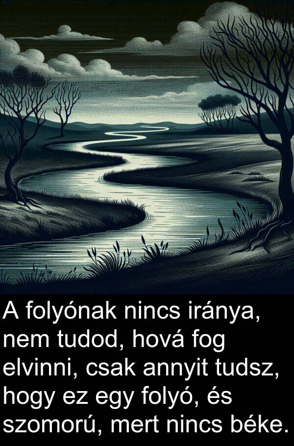 tudod: A folyónak nincs iránya, nem tudod, hová fog elvinni, csak annyit tudsz, hogy ez egy folyó, és szomorú, mert nincs béke.