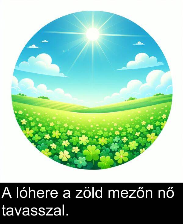 zöld: A lóhere a zöld mezőn nő tavasszal.