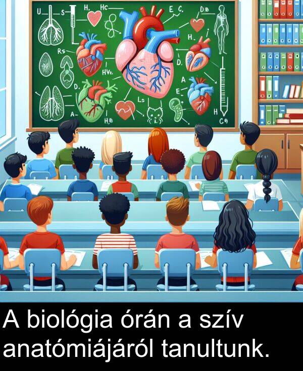 órán: A biológia órán a szív anatómiájáról tanultunk.