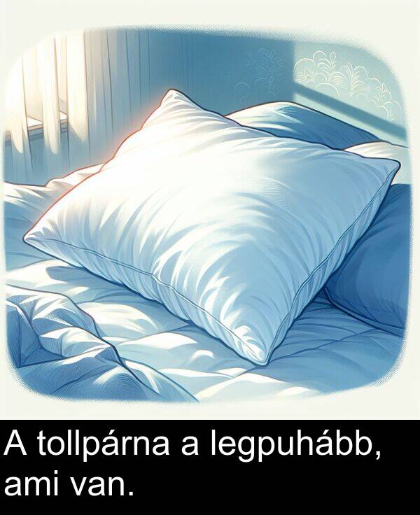 ami: A tollpárna a legpuhább, ami van.