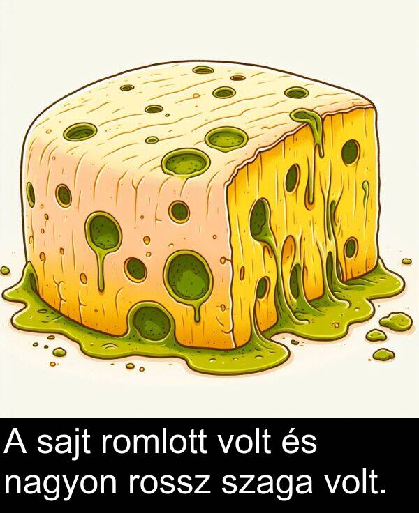 sajt: A sajt romlott volt és nagyon rossz szaga volt.