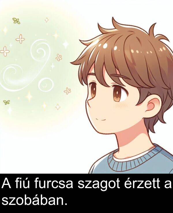 szagot: A fiú furcsa szagot érzett a szobában.
