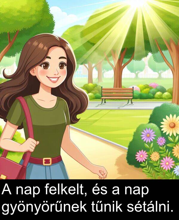 sétálni: A nap felkelt, és a nap gyönyörűnek tűnik sétálni.