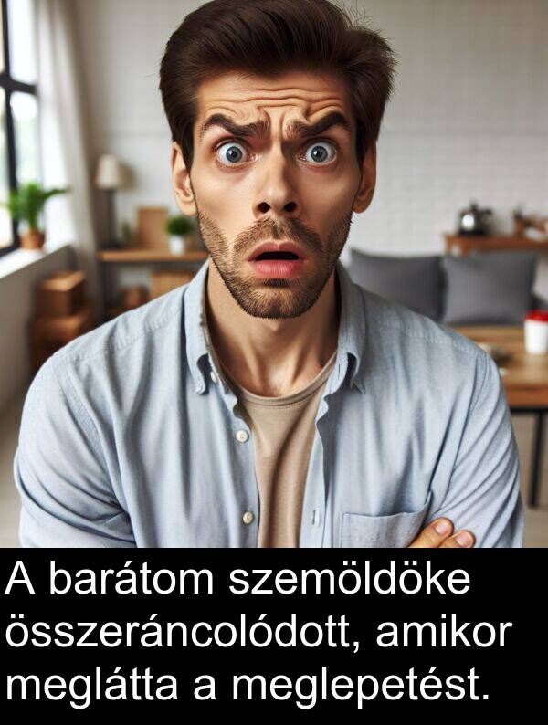 meglátta: A barátom szemöldöke összeráncolódott, amikor meglátta a meglepetést.