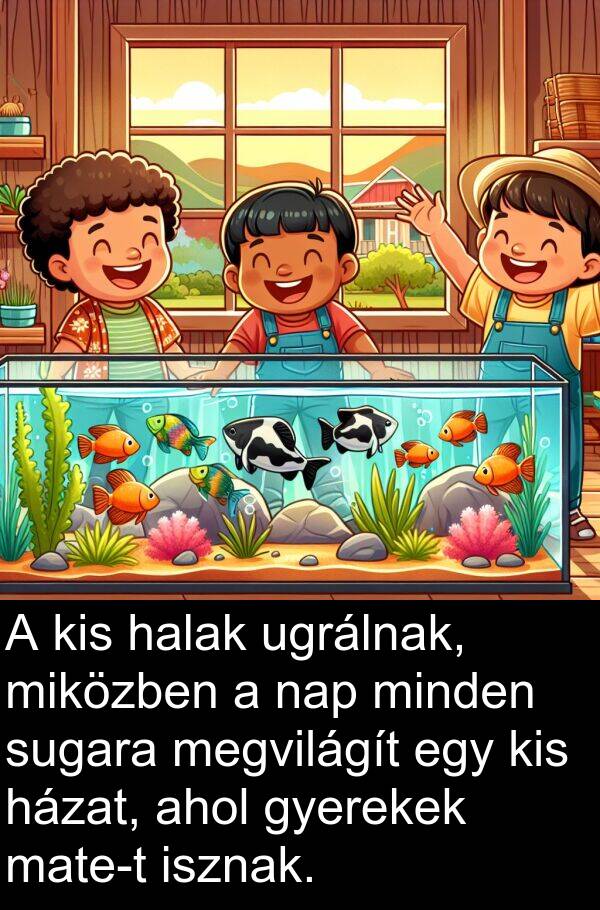 ugrálnak: A kis halak ugrálnak, miközben a nap minden sugara megvilágít egy kis házat, ahol gyerekek mate-t isznak.