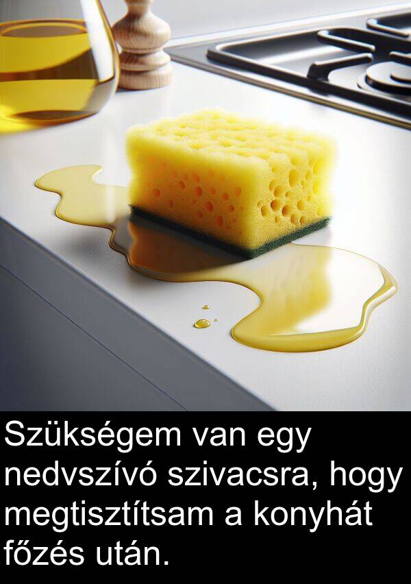 megtisztítsam: Szükségem van egy nedvszívó szivacsra, hogy megtisztítsam a konyhát főzés után.