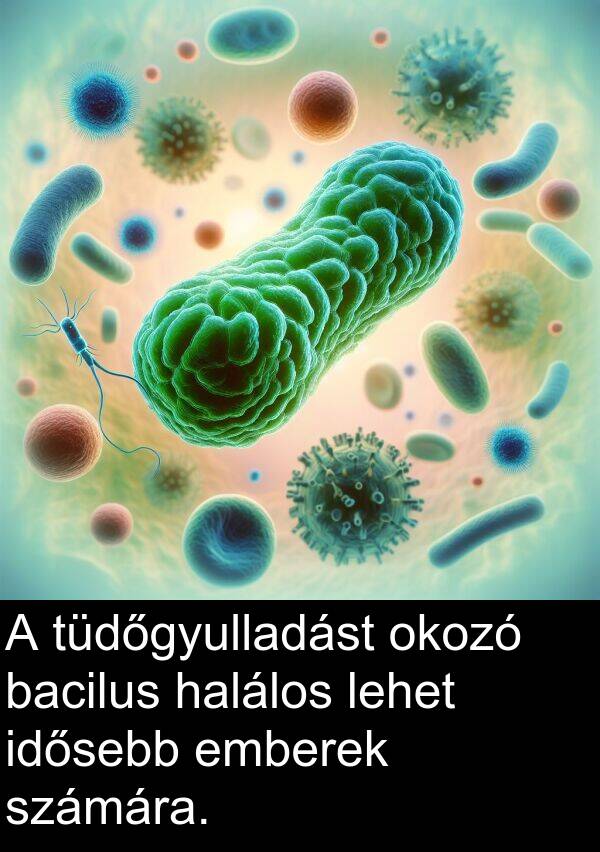 bacilus: A tüdőgyulladást okozó bacilus halálos lehet idősebb emberek számára.