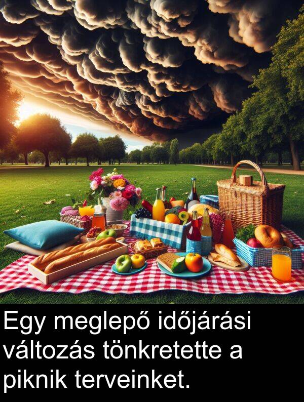 meglepő: Egy meglepő időjárási változás tönkretette a piknik terveinket.