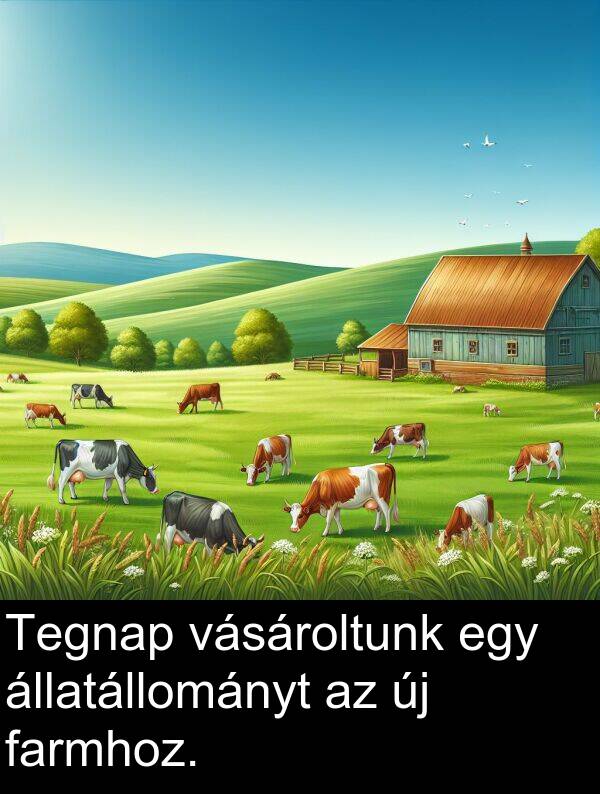 vásároltunk: Tegnap vásároltunk egy állatállományt az új farmhoz.