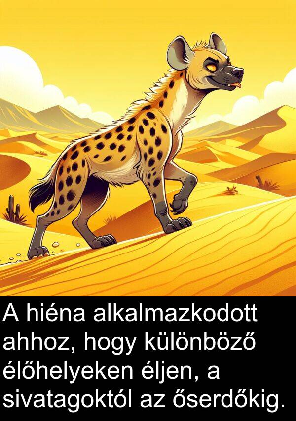 ahhoz: A hiéna alkalmazkodott ahhoz, hogy különböző élőhelyeken éljen, a sivatagoktól az őserdőkig.